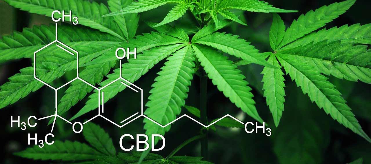 Britishcbd | Leading Supplier Of Cbd &Amp; Hemp Products 52 Methods cannabis