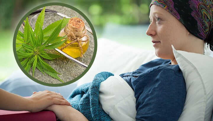 This Morning Show: Cannabis is curing my cancer 7 Cannabis is curing me