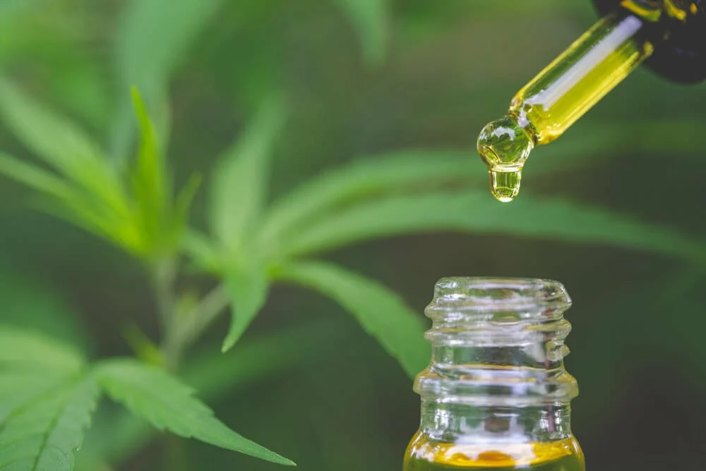 Beginners Guide To Cbd Oil 2 Shutterstock 1472384519 1 jpg - beginners guide to cbd oil