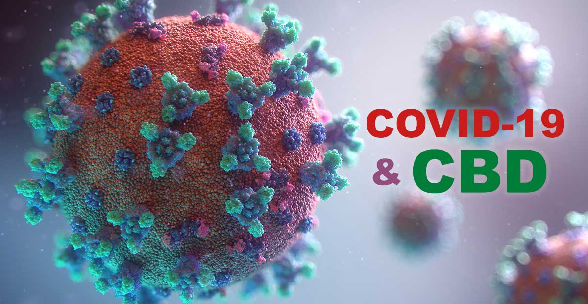 Can CBD prevent or treat coronavirus? 26 Coronavirus and CBD