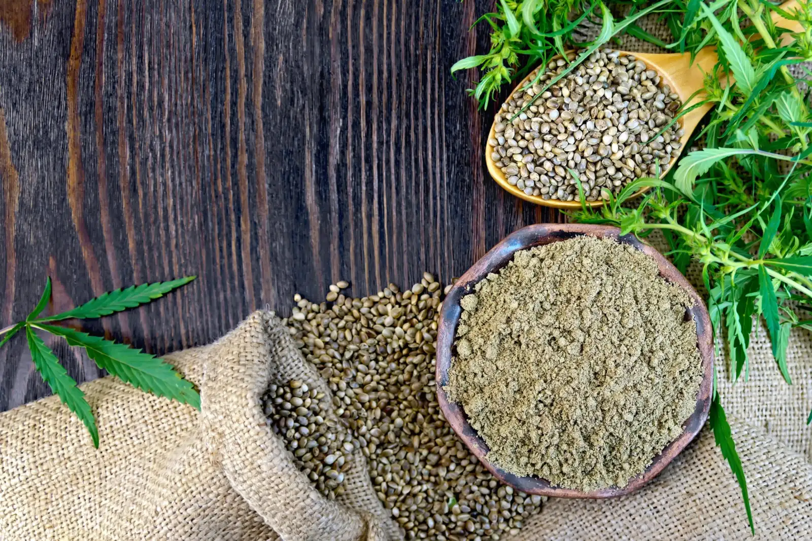 CBD Frequently Asked Questions
