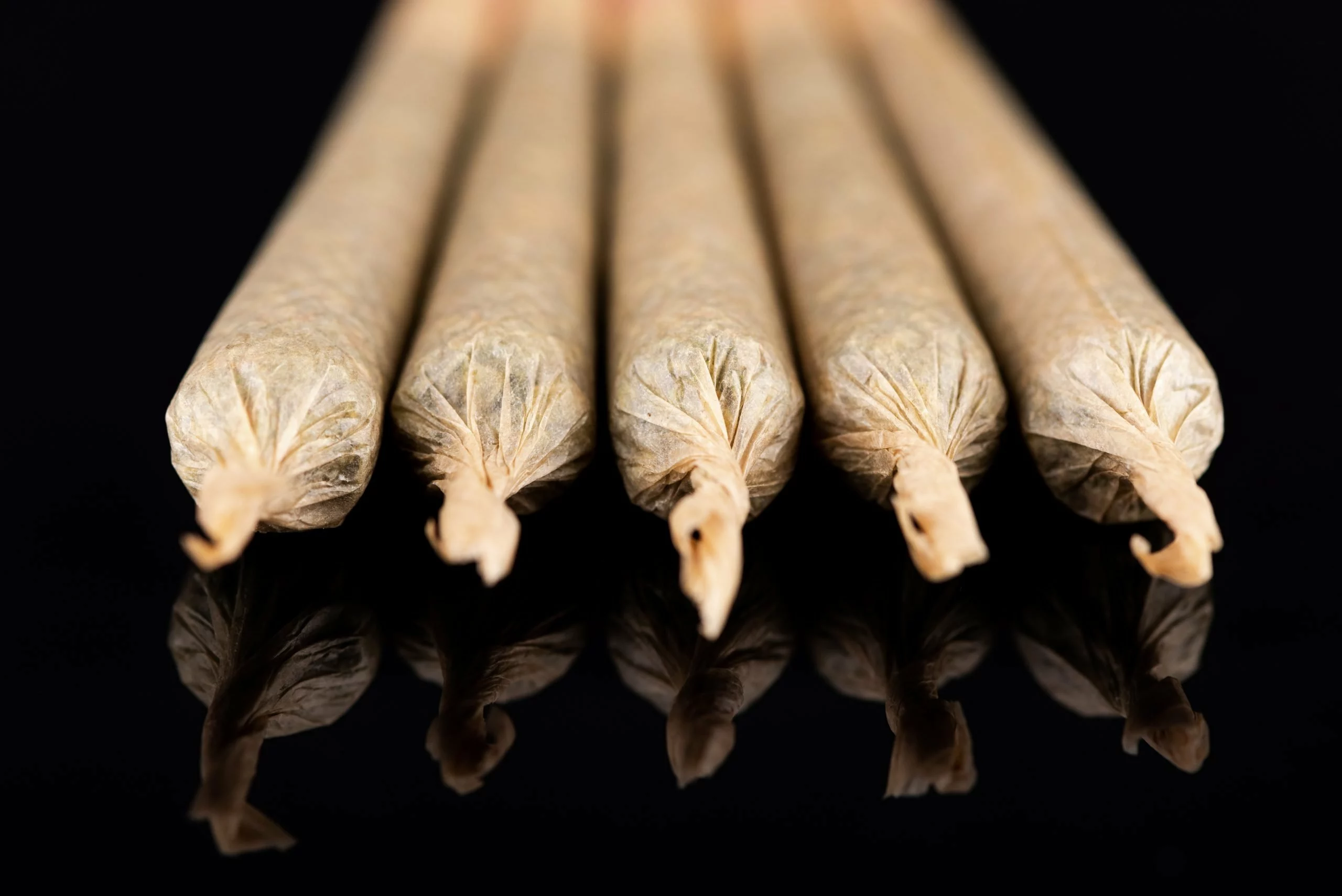 Britishcbd | Leading Supplier Of Cbd &Amp; Hemp Products 59 Cannabis marijuana rolled in joints cbd hemp flower