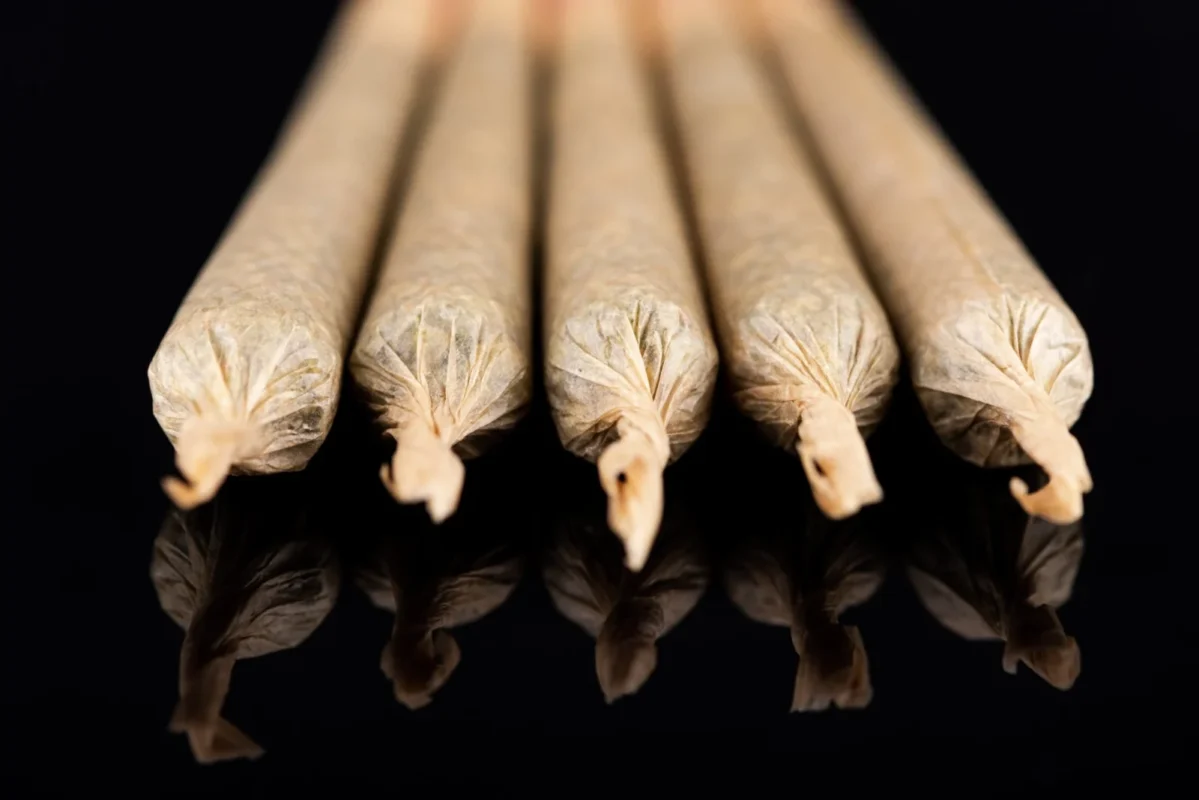 Cannabis Marijuana Rolled in Joints CBD Hemp Flower