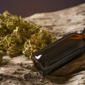 CBD oil