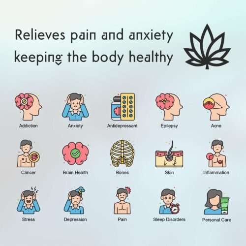 3 - Ascent CBD Oil Spray - Full Spectrum - 30ml - 2 Strengths