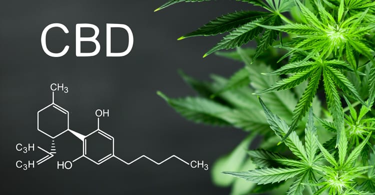 CBD questions answered