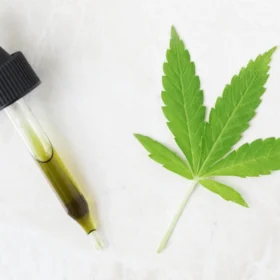 dropper of cbd oil YLBMGA8 scaled opt - The Top 10 Most Asked CBD Questions In 2026