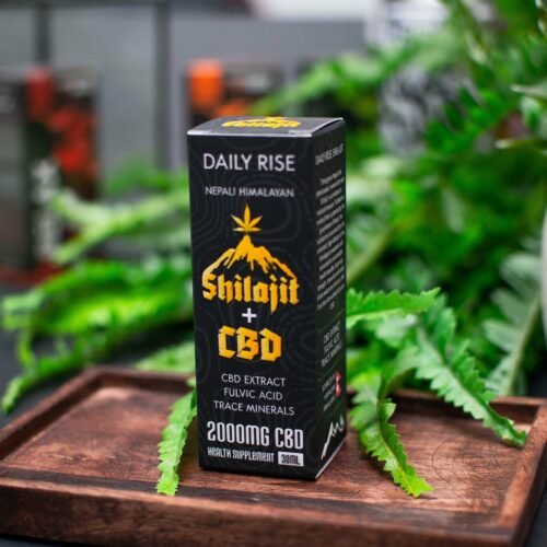 DSC 0126 scaled - Daily Rise - Shilajit + CBD 2000mg