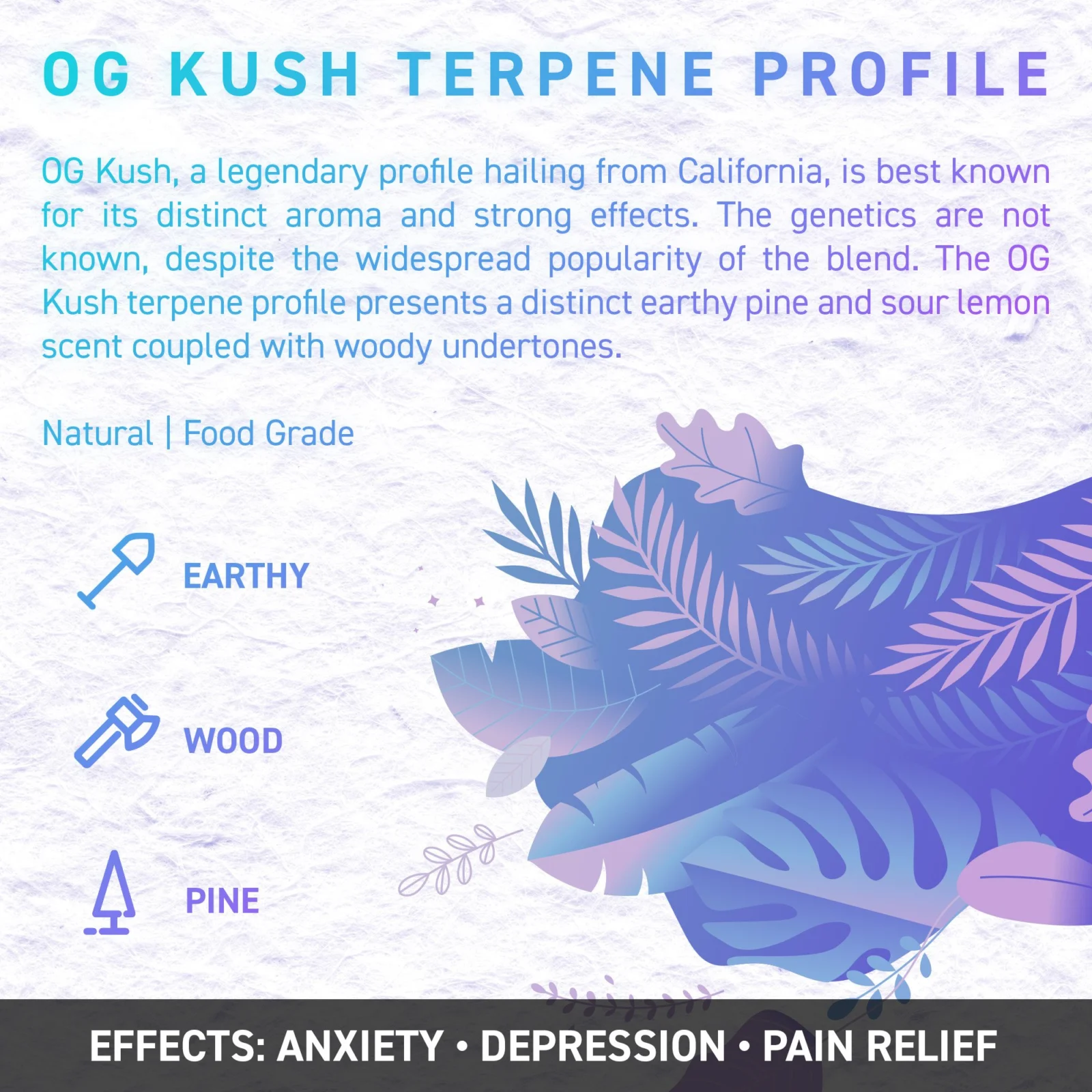 OG Kush opt - Juicy Dutch CBD E-Liquid - Terpene Edition – 50ml – 16 Cannabis Strain Flavours – 3 Strengths