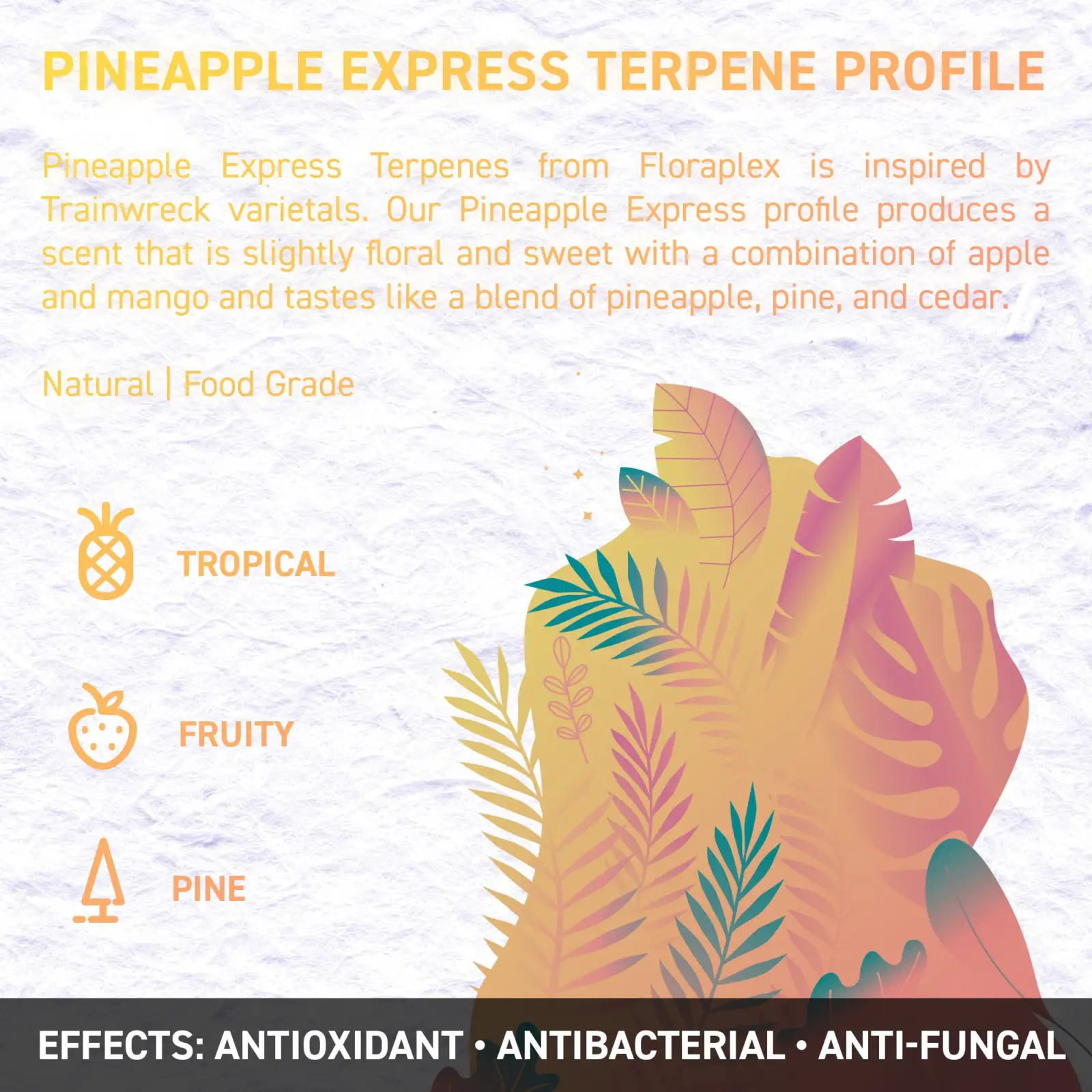 Pineapple Express opt - Juicy Dutch CBD E-Liquid - Terpene Edition – 50ml – 16 Cannabis Strain Flavours – 3 Strengths
