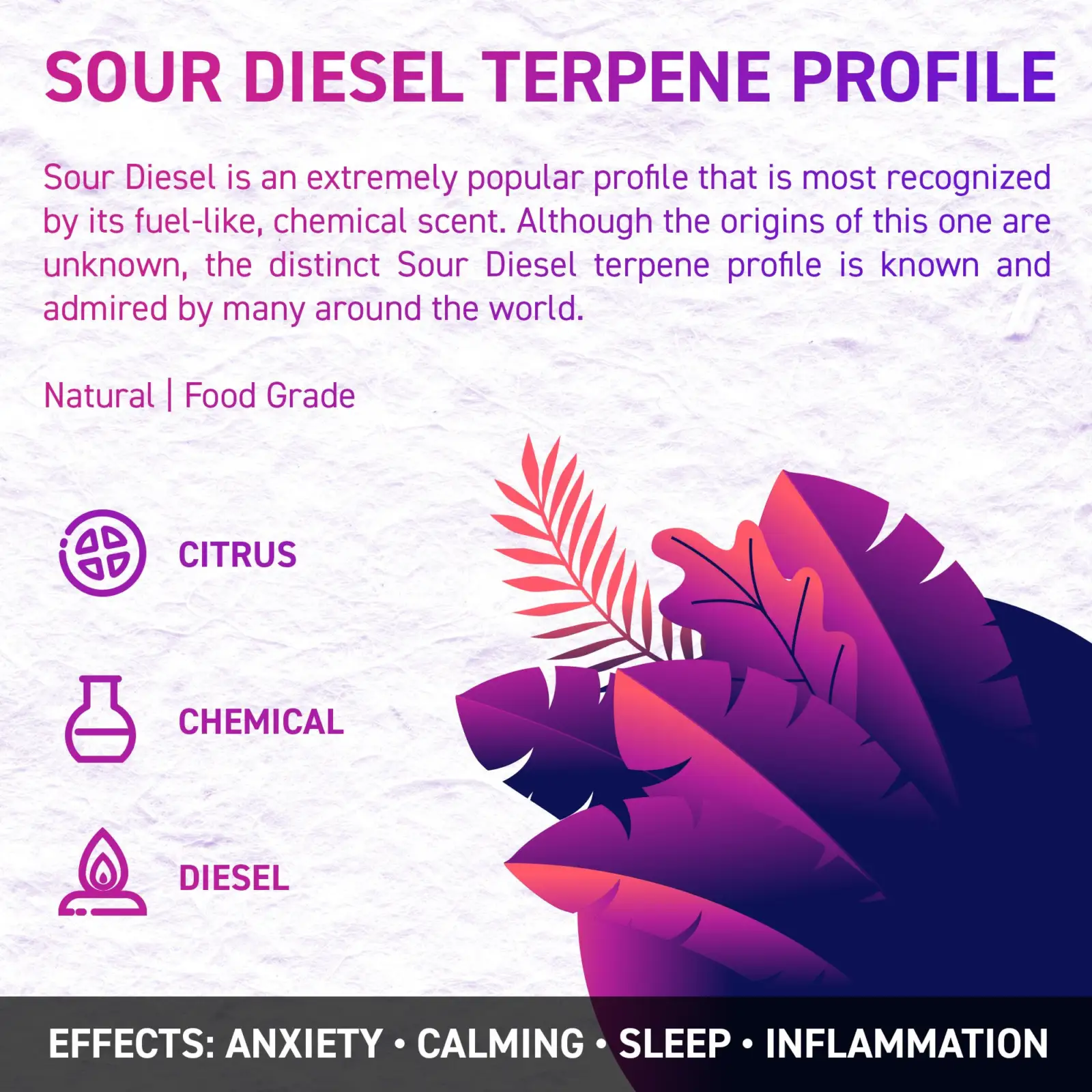 Sour Diesel opt - Juicy Dutch CBD E-Liquid - Terpene Edition – 50ml – 16 Cannabis Strain Flavours – 3 Strengths