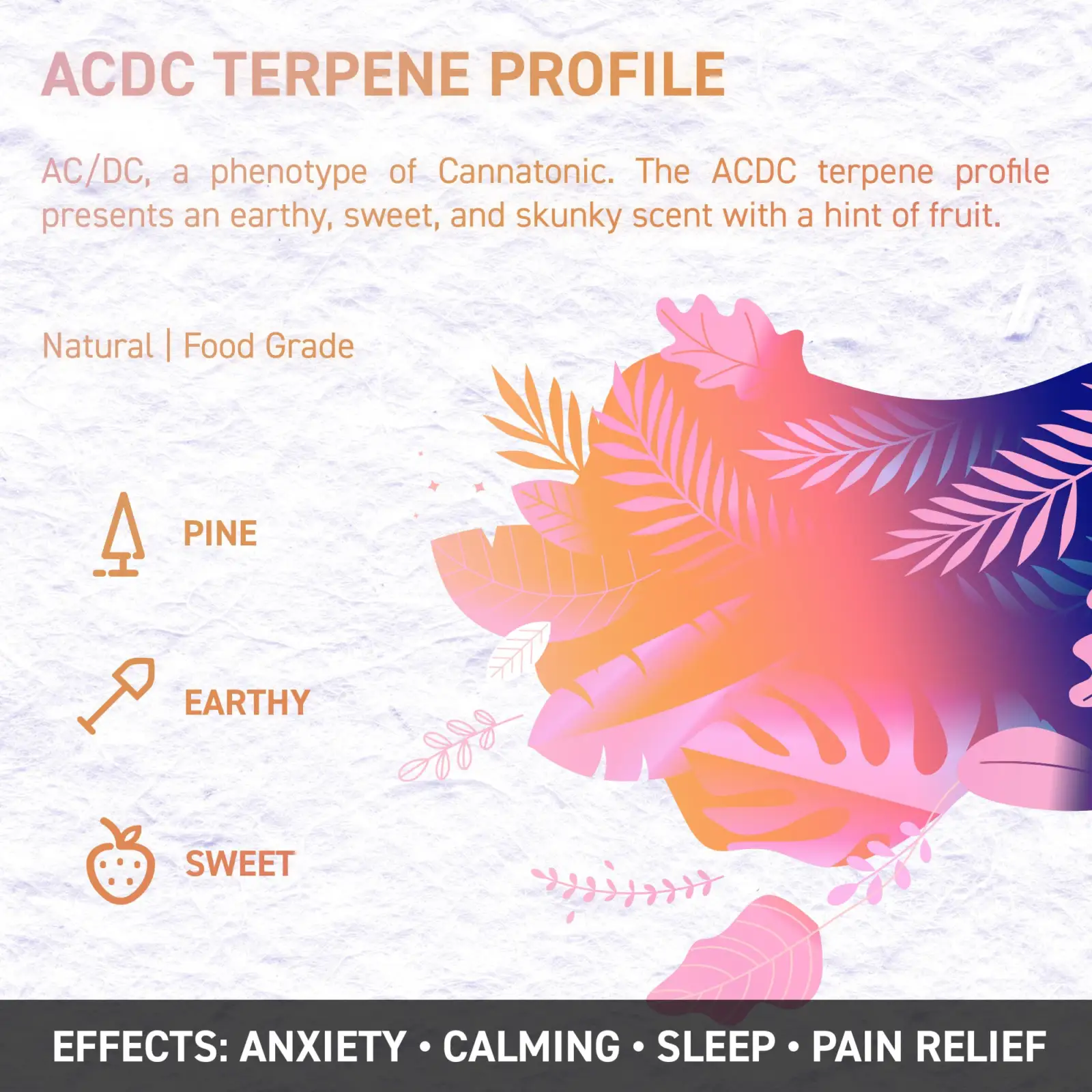 acdc 1 opt - Juicy Dutch CBD E-Liquid - Terpene Edition – 50ml – 16 Cannabis Strain Flavours – 3 Strengths