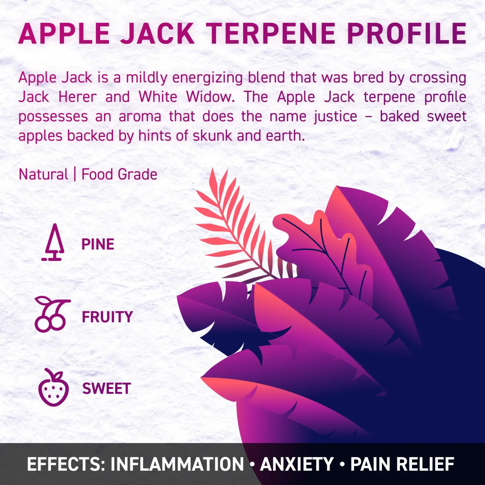 apple jack 2 opt - Juicy Dutch CBD E-Liquid - Terpene Edition – 50ml – 16 Cannabis Strain Flavours – 3 Strengths