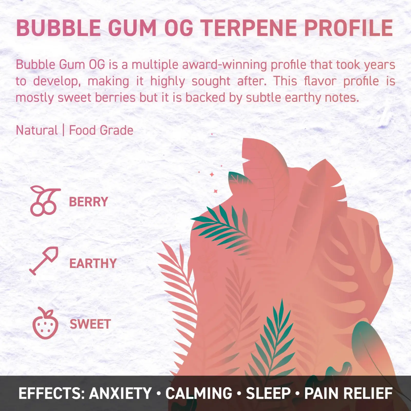 bubblegum og 2 opt - Juicy Dutch CBD E-Liquid - Terpene Edition – 50ml – 16 Cannabis Strain Flavours – 3 Strengths
