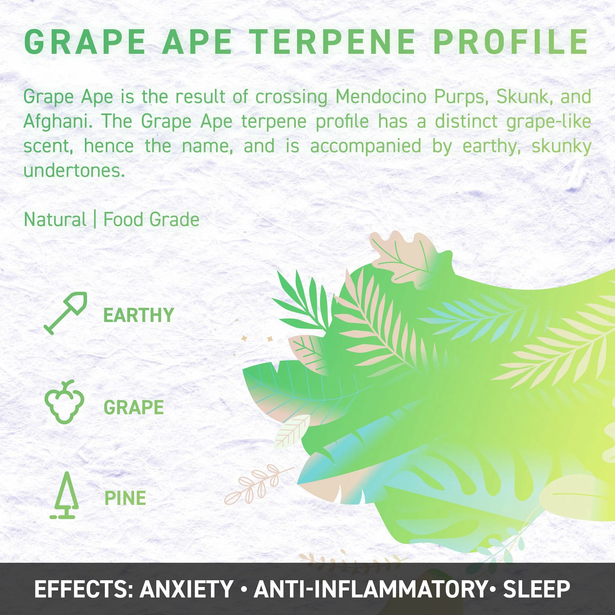 Juicy Dutch Cbd E-Liquid - Terpene Edition – 50Ml – 16 Cannabis Strain Flavours – 3 Strengths 11 Grape ape 2 jpg - juicy dutch cbd e-liquid - terpene edition – 50ml – 16 cannabis strain flavours – 3 strengths