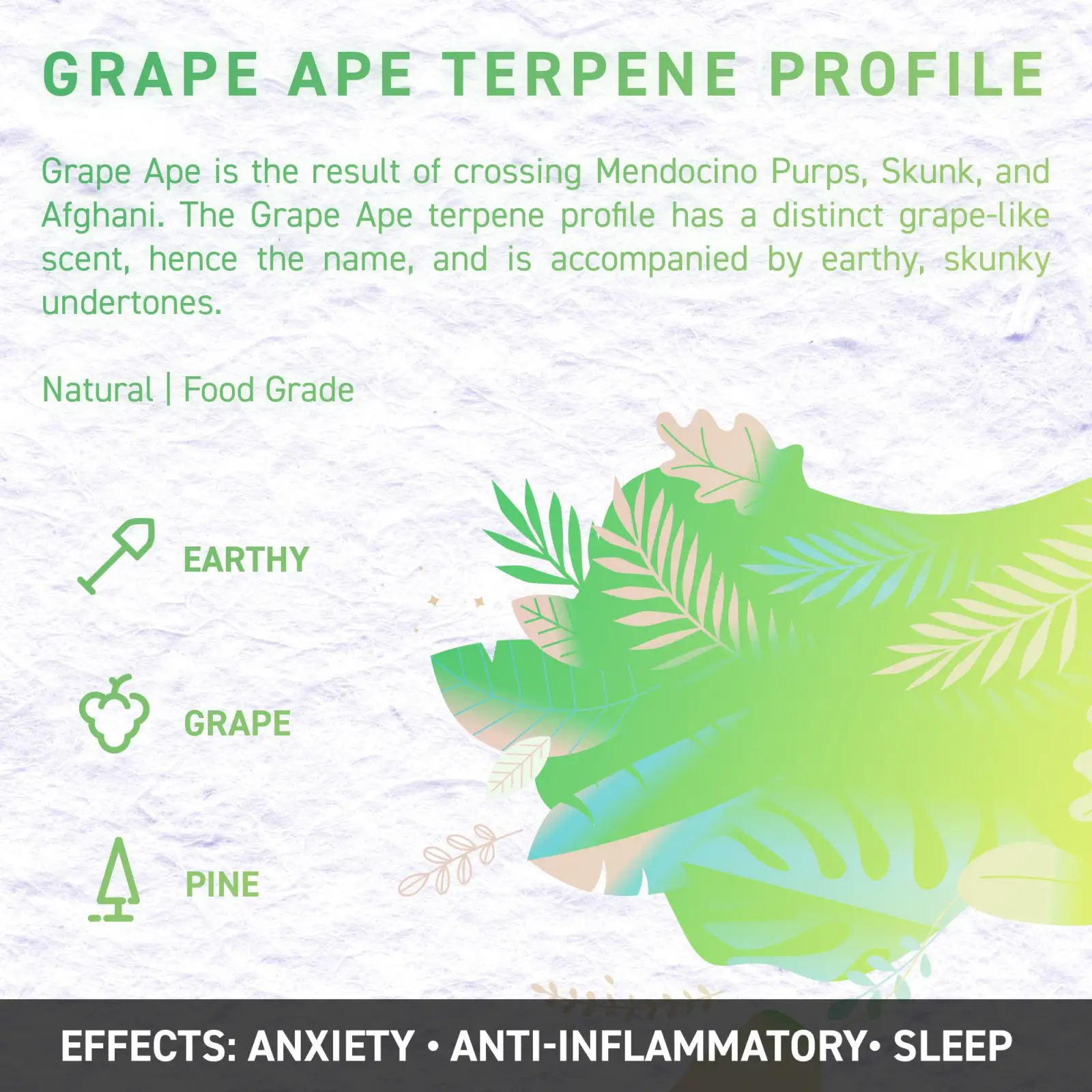 grape ape 2 opt - Juicy Dutch CBD E-Liquid - Terpene Edition – 50ml – 16 Cannabis Strain Flavours – 3 Strengths