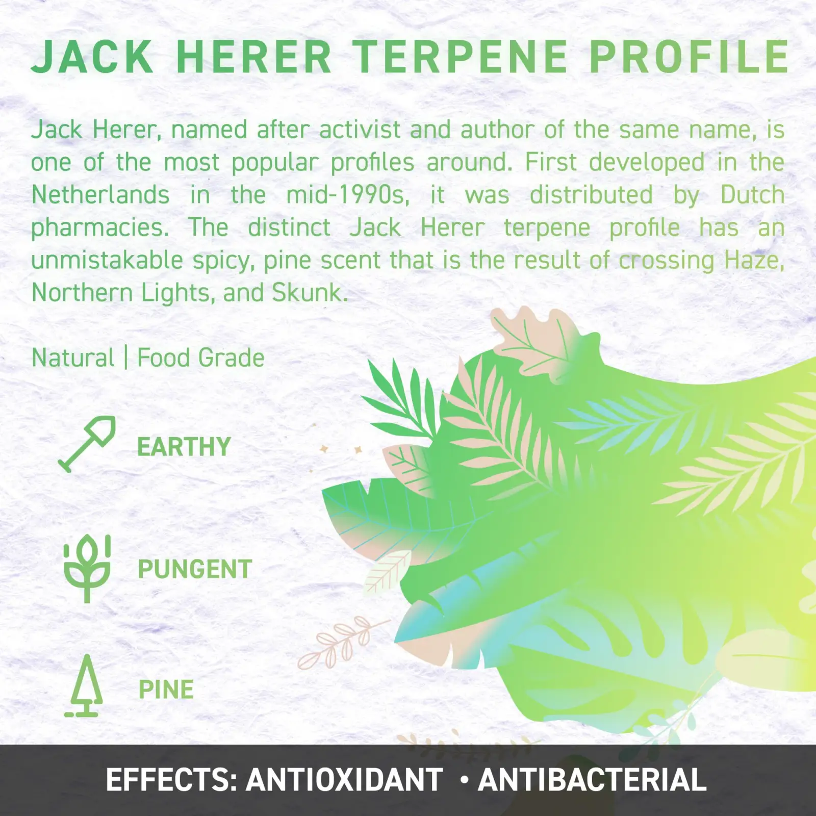 jack herer 1 opt - Juicy Dutch CBD E-Liquid - Terpene Edition – 50ml – 16 Cannabis Strain Flavours – 3 Strengths
