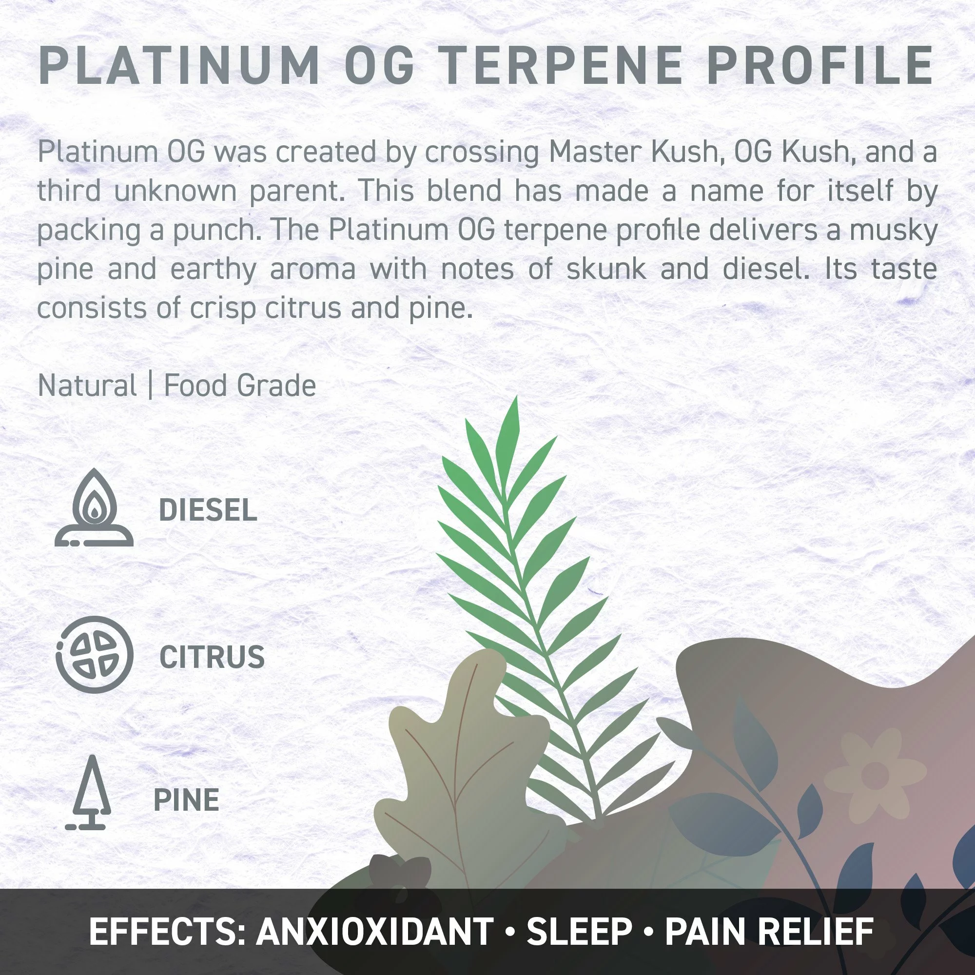 Juicy Dutch Cbd E-Liquid - Terpene Edition – 50Ml – 16 Cannabis Strain Flavours – 3 Strengths 7 Platinum og 2 jpg - juicy dutch cbd e-liquid - terpene edition – 50ml – 16 cannabis strain flavours – 3 strengths