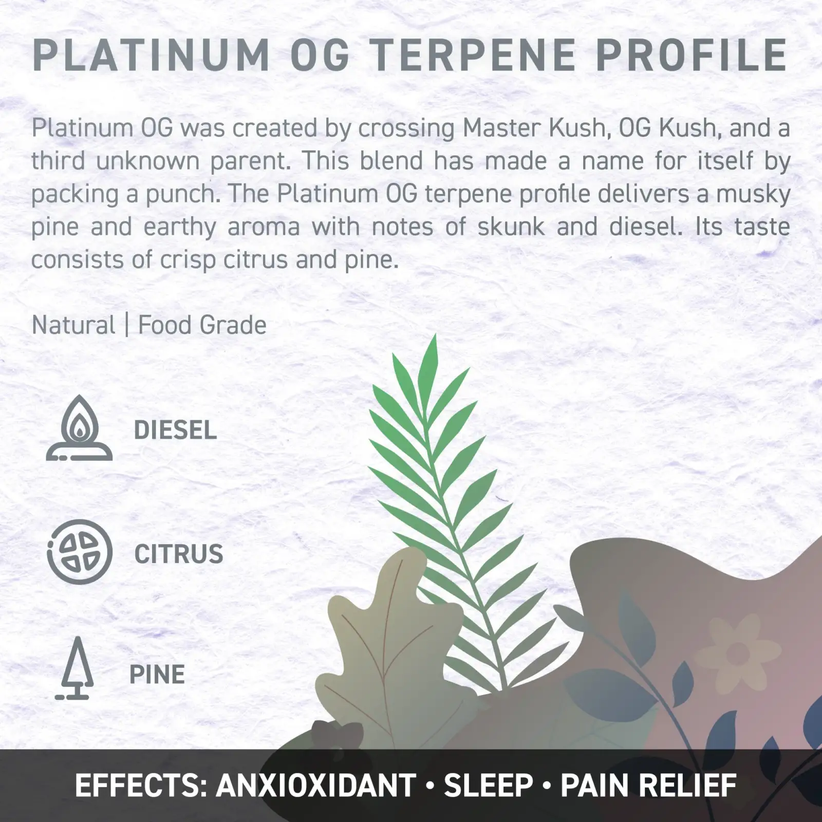 platinum OG 2 opt - Juicy Dutch CBD E-Liquid - Terpene Edition – 50ml – 16 Cannabis Strain Flavours – 3 Strengths