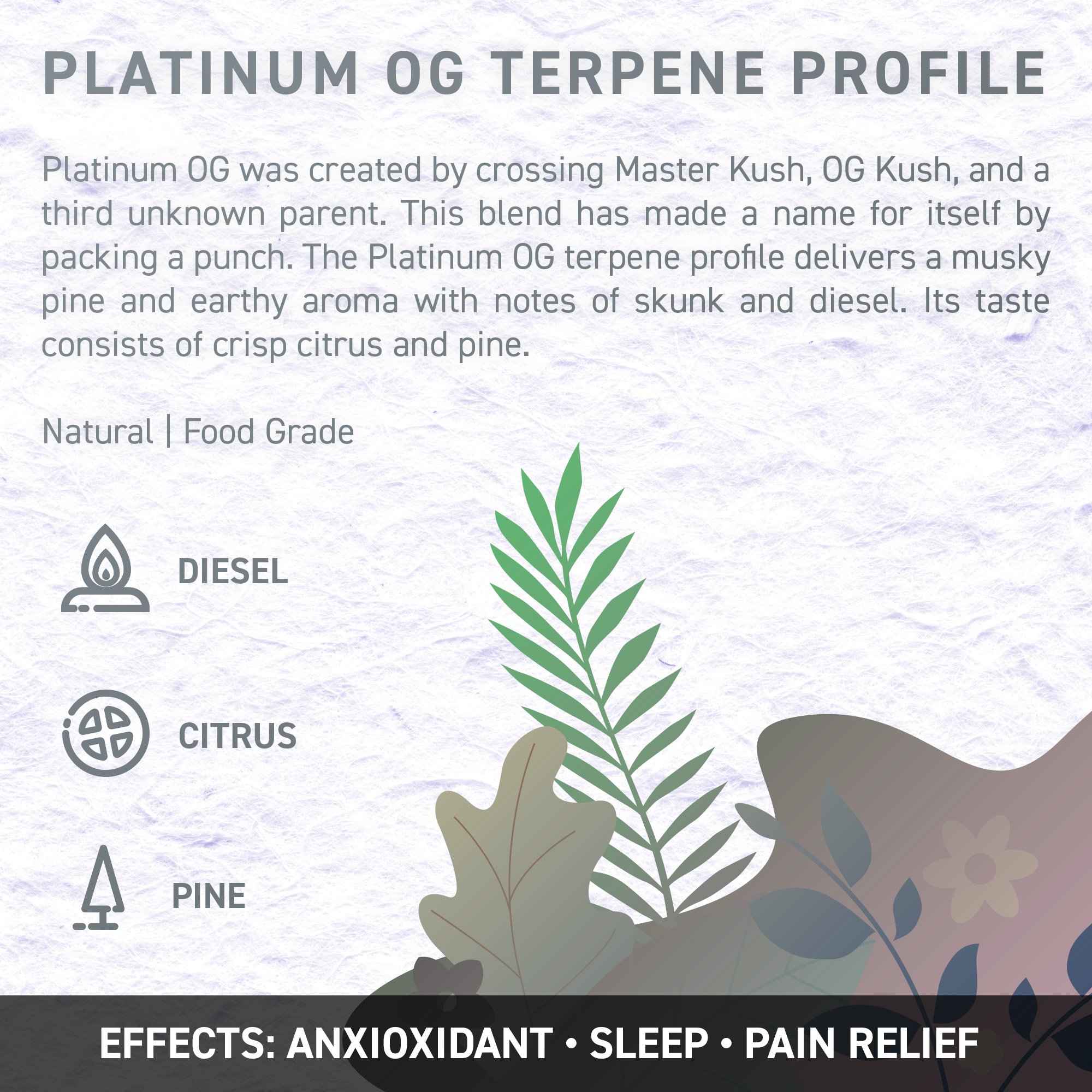 Terpene Liquid UK strain profile
