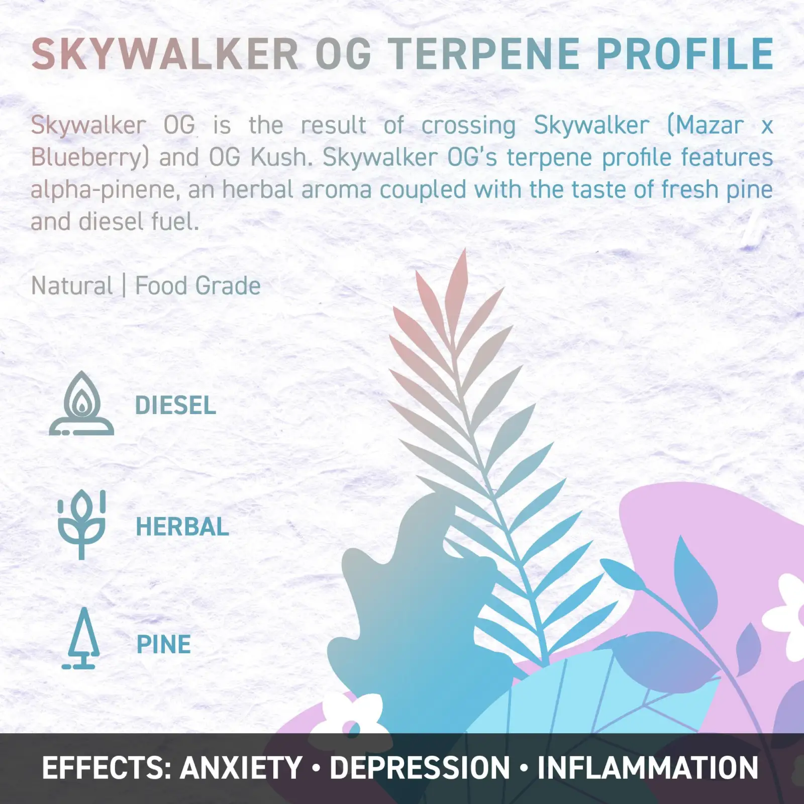 skywalker OG copy 2 opt - Juicy Dutch CBD E-Liquid - Terpene Edition – 50ml – 16 Cannabis Strain Flavours – 3 Strengths