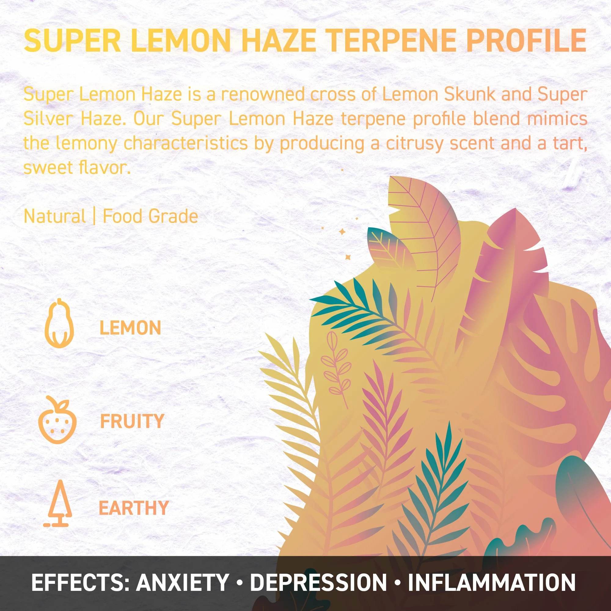 Juicy Dutch Cbd E-Liquid - Terpene Edition – 50Ml – 16 Cannabis Strain Flavours – 3 Strengths 4 Terpene profile description for super lemon haze liquid vape