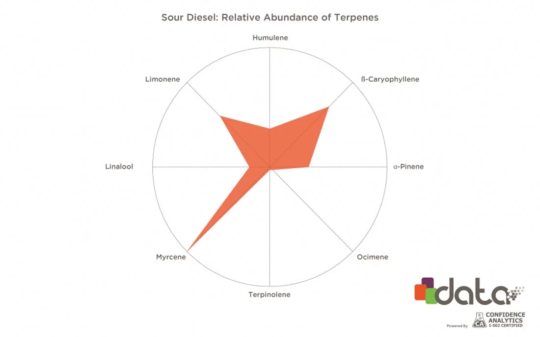 Top 5 Terpene Strain Profiles 8 Sour diesel 1024x640 1 jpeg - top 5 terpene strain profiles