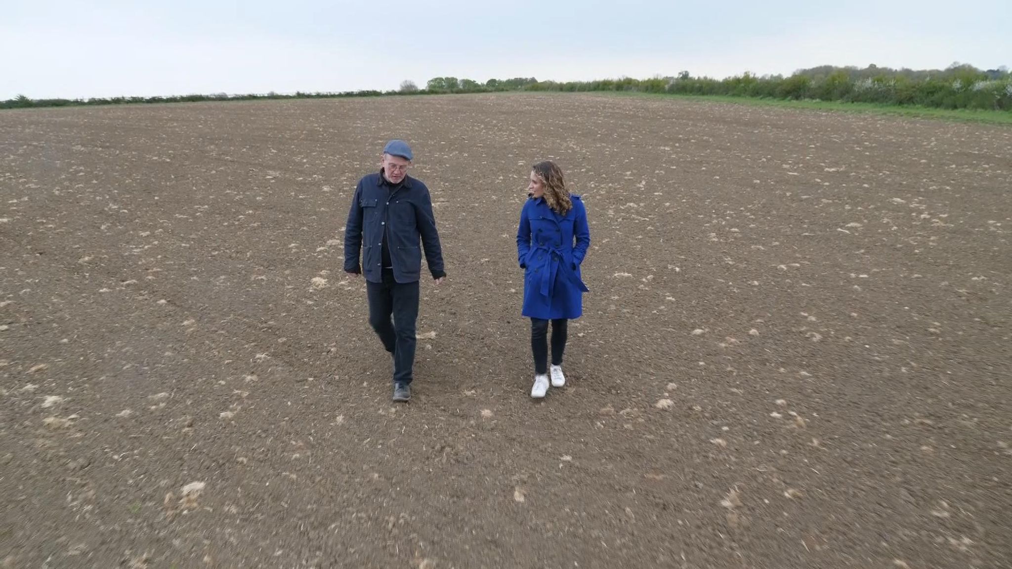 Ban on cultivating medicinal CBD oil from cannabis 'unfair' and 'insane', UK farmers say 3 skynews cannabis cambridgeshire 5359402 - Ban on cultivating medicinal CBD oil from cannabis 'unfair' and 'insane', UK farmers say