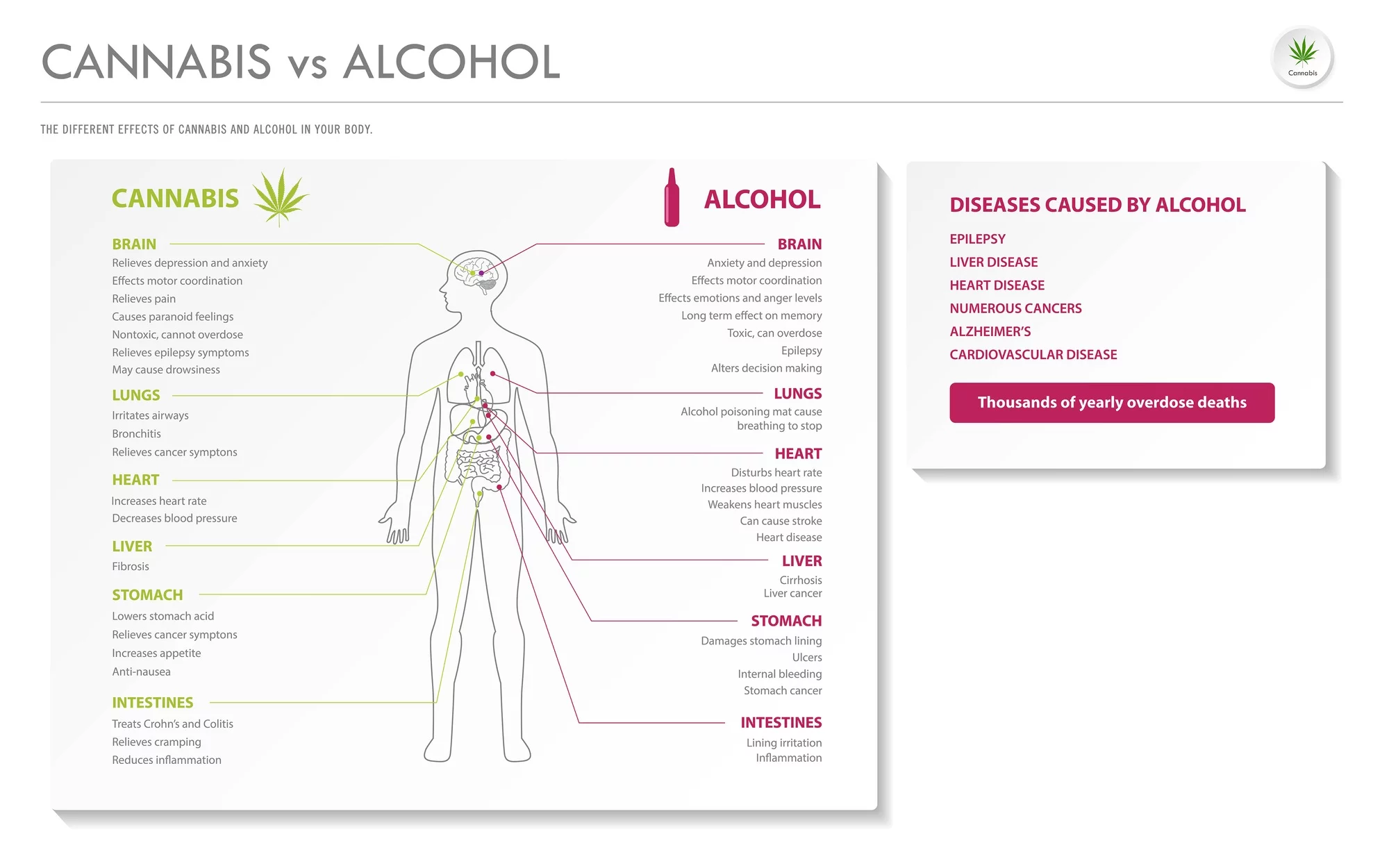 Can Cbd Help Reduce Alcohol Consumption? 2022 39 Cannabis vs alcohol horizontal business infographic illustration about cannabis as herbal alternative medicine and chemical therapy, healthcare and medical science vector.