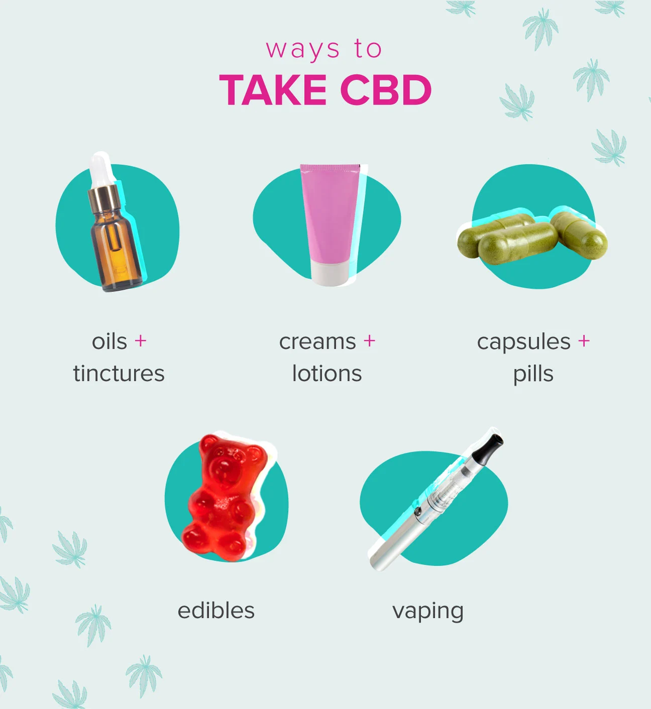 Top 5 Ways To Take CBD In 2024 1 Top 5 Ways To Ingest CBD