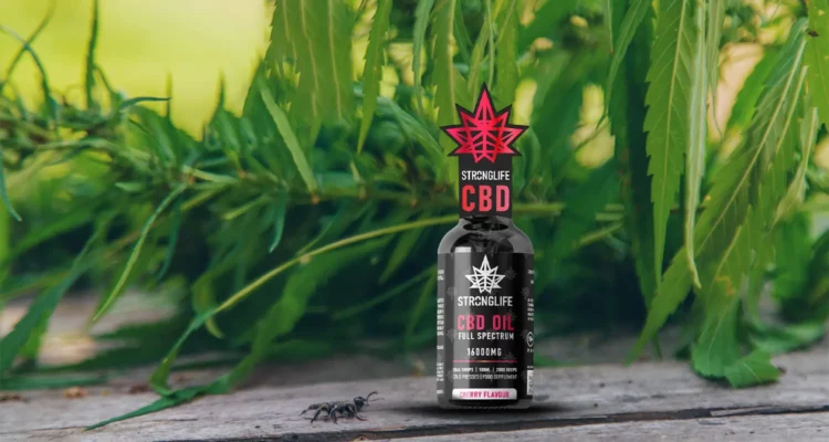 How long does CBD stay in your system