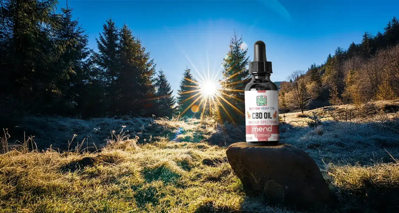 How long does CBD stay in your system