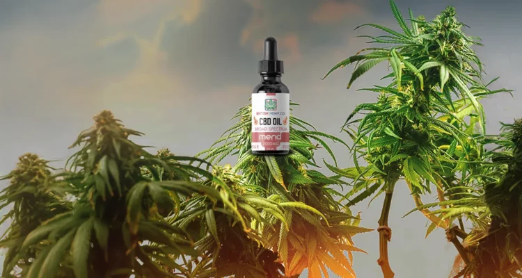 Does CBD make you feel spacey