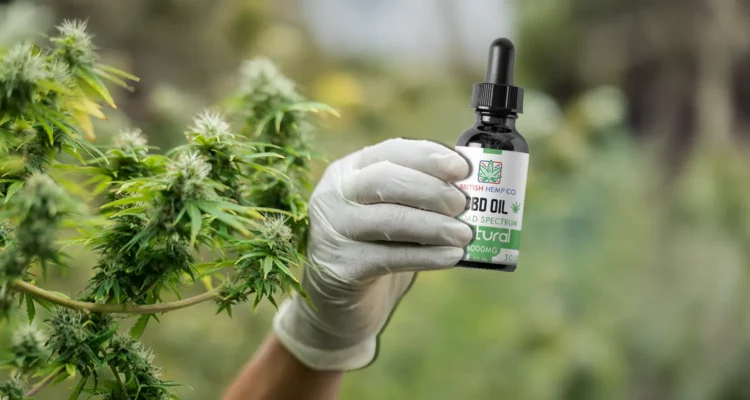 Does CBD Show Up on a Drugs Test UK