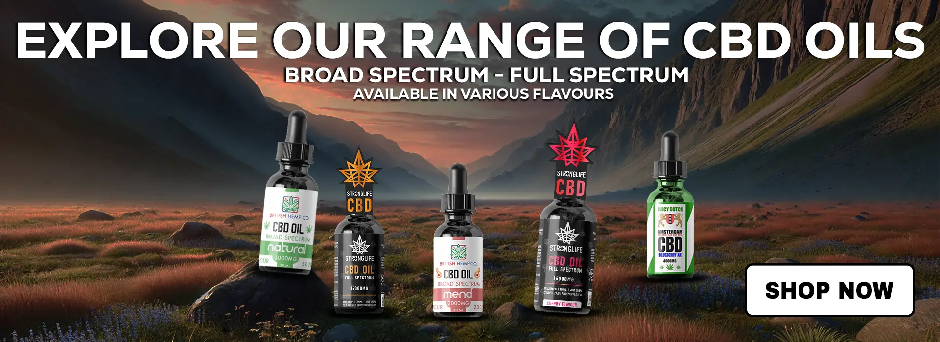 BritishCBD | Leading Supplier of CBD & Hemp Products 8 british CBD banner new homepage desktop 2.1.25 oils banner closer margain - BritishCBD | Leading Supplier of CBD & Hemp Products